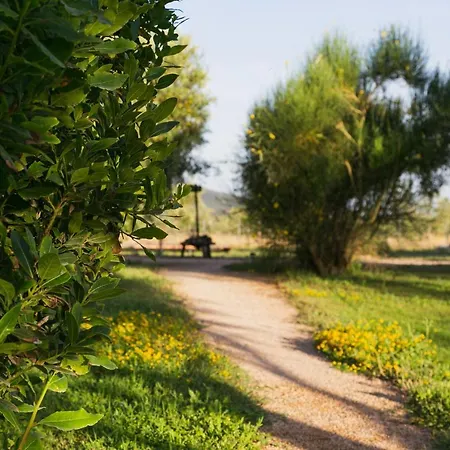 Agriturismo La Facenda * Albinia
