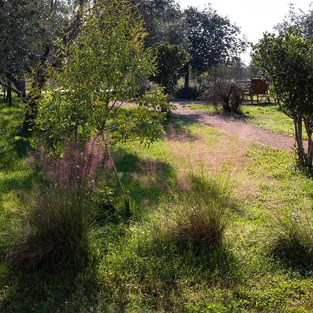 Agriturismo La Facenda Albinia