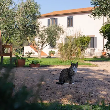 Agriturismo La Facenda * Albinia