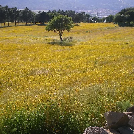 Agriturismo La Facenda Albinia
