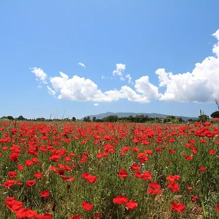 Agriturismo La Facenda