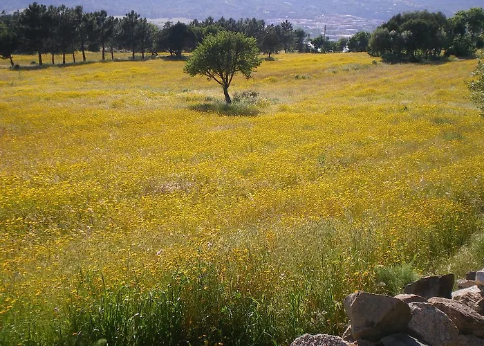 La Facenda Albinia